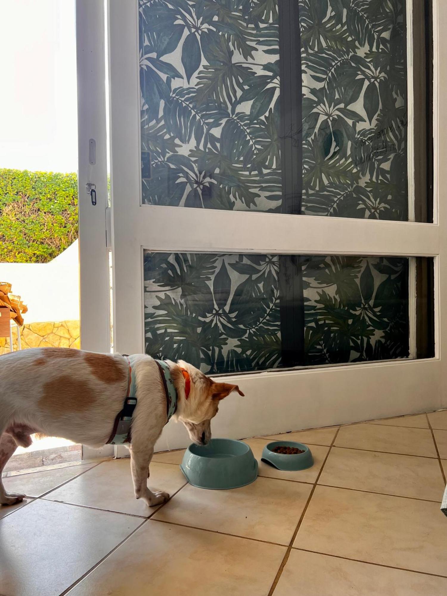 Studio Albufeira Jardim T0 Dış mekan fotoğraf